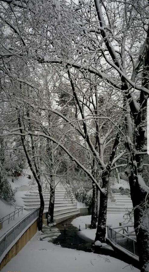 Apartamento Rural Alfawara Alfafara Dış mekan fotoğraf